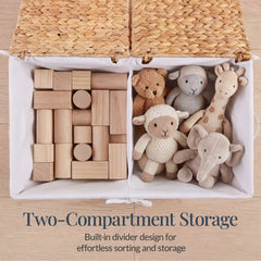 Large Storage Basket w/ Separate Lid, Washable Sectioned Liner Bag
