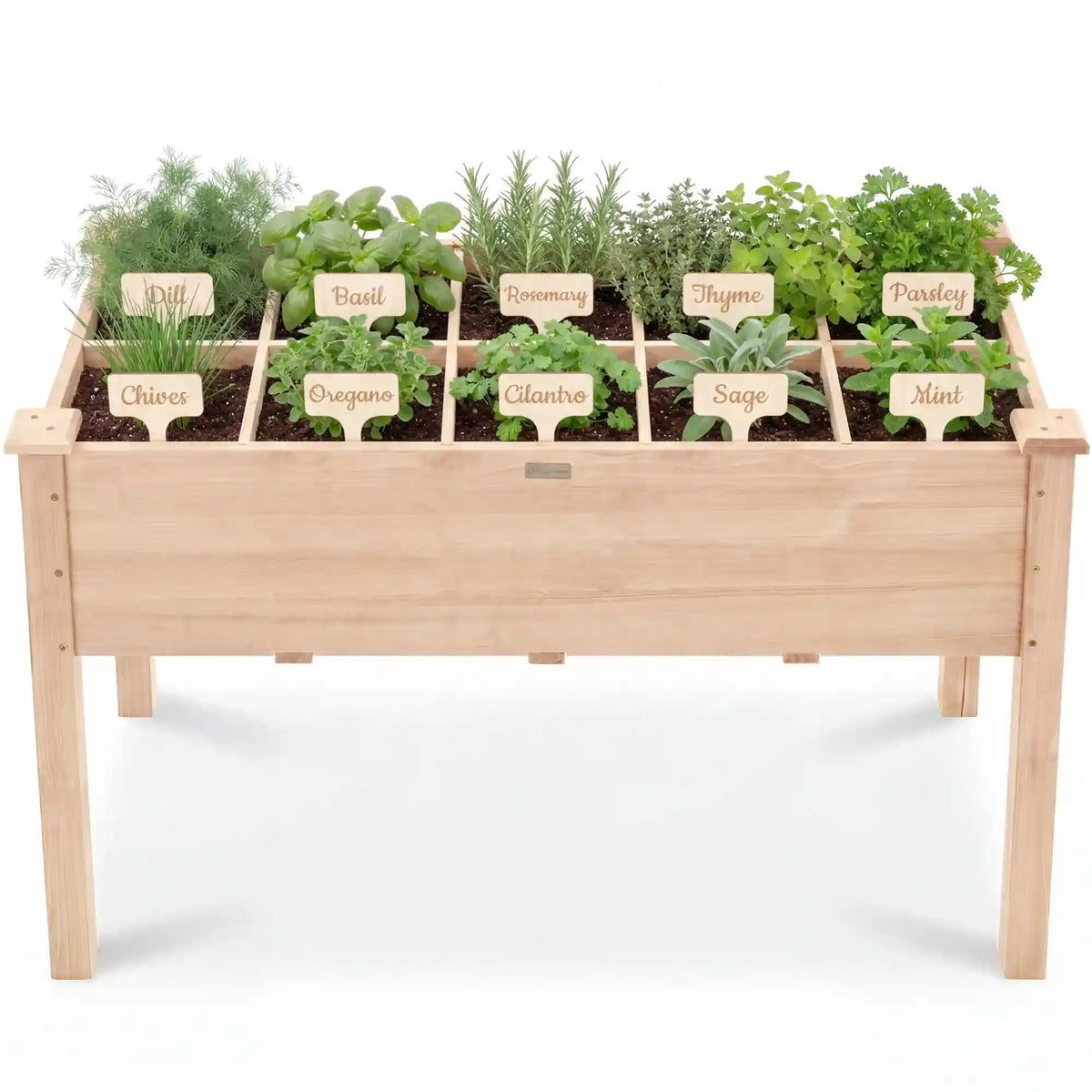 Raised Garden Bed Planter Box with 10 Grid Sections