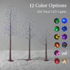 Set of 3 Lighted Twig Birch Trees, 4ft, 6ft, 8ft w/ 300 2-in-1 LEDs